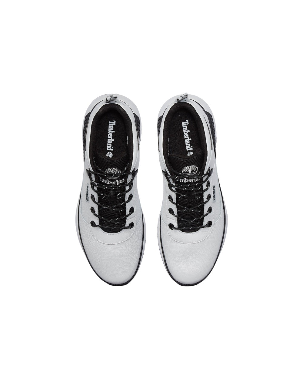 SHOES TIMBERLAND LOW LACE SNEAKER BLANC